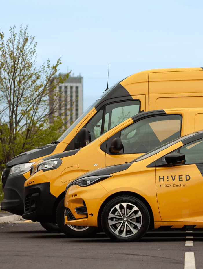 hived